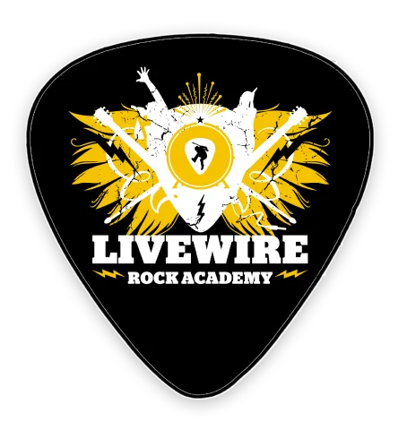 guitar pick guitar pick