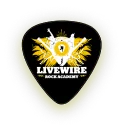 guitar pick